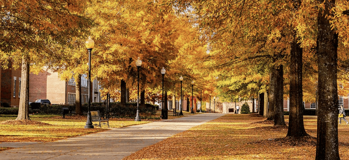 Troy University