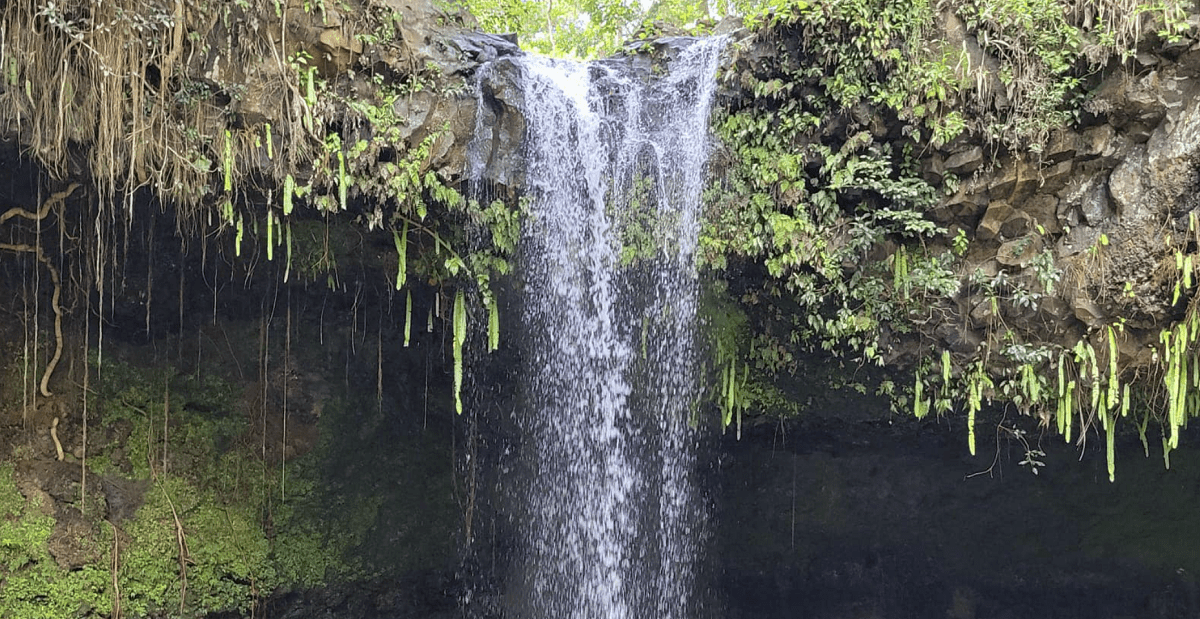 Twin Waterfalls