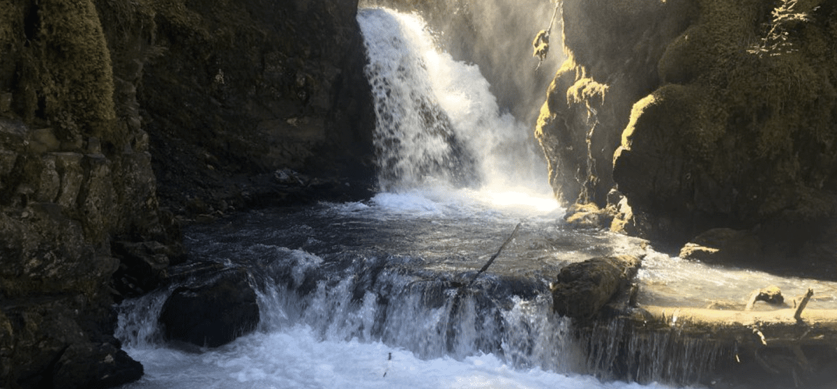 Virgin Creek Falls