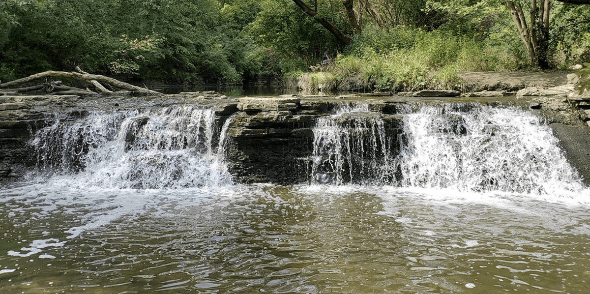 Waterfall Glen Forest Preserve