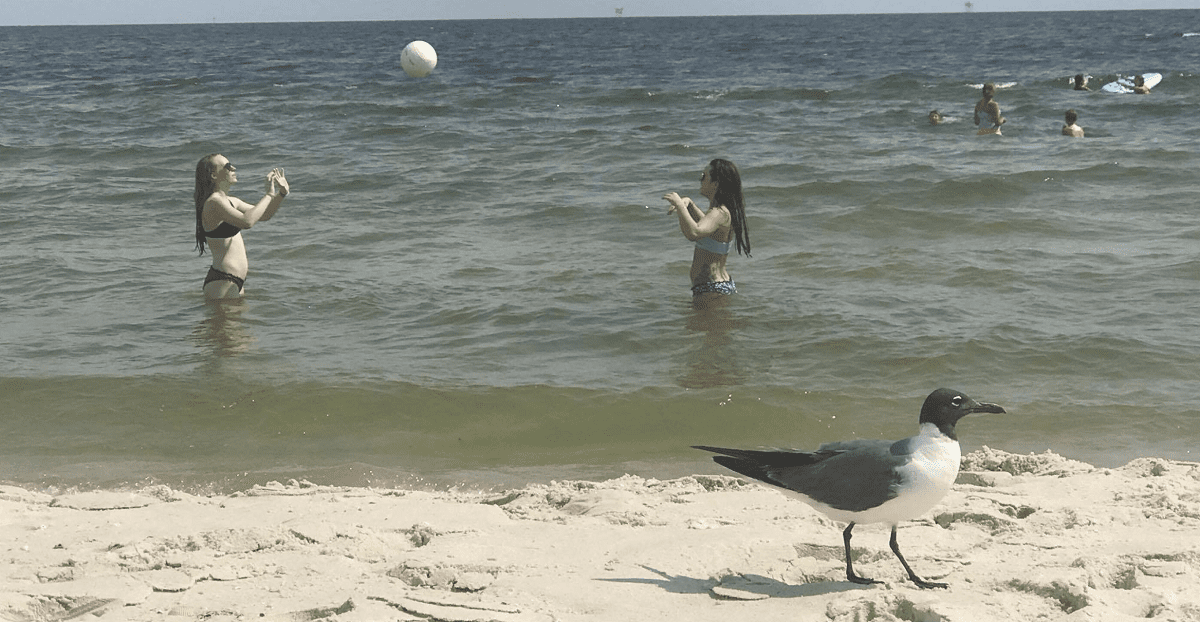 West End Public Beach - Activities