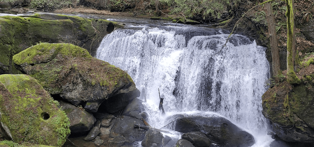 Whatcom Falls