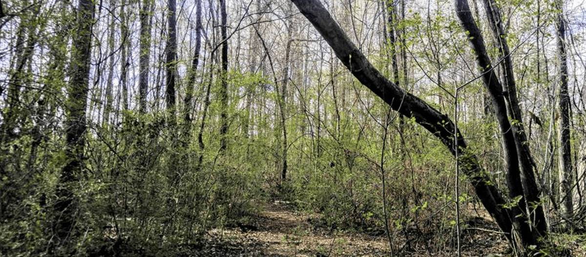 Wheeler Wildlife Refuge