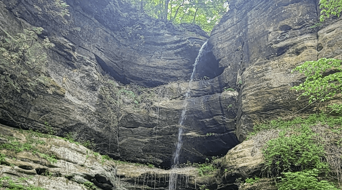 Wildcat Canyon Falls