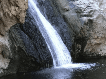 Wildwood Waterfall
