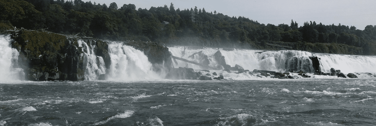 Willamette Falls